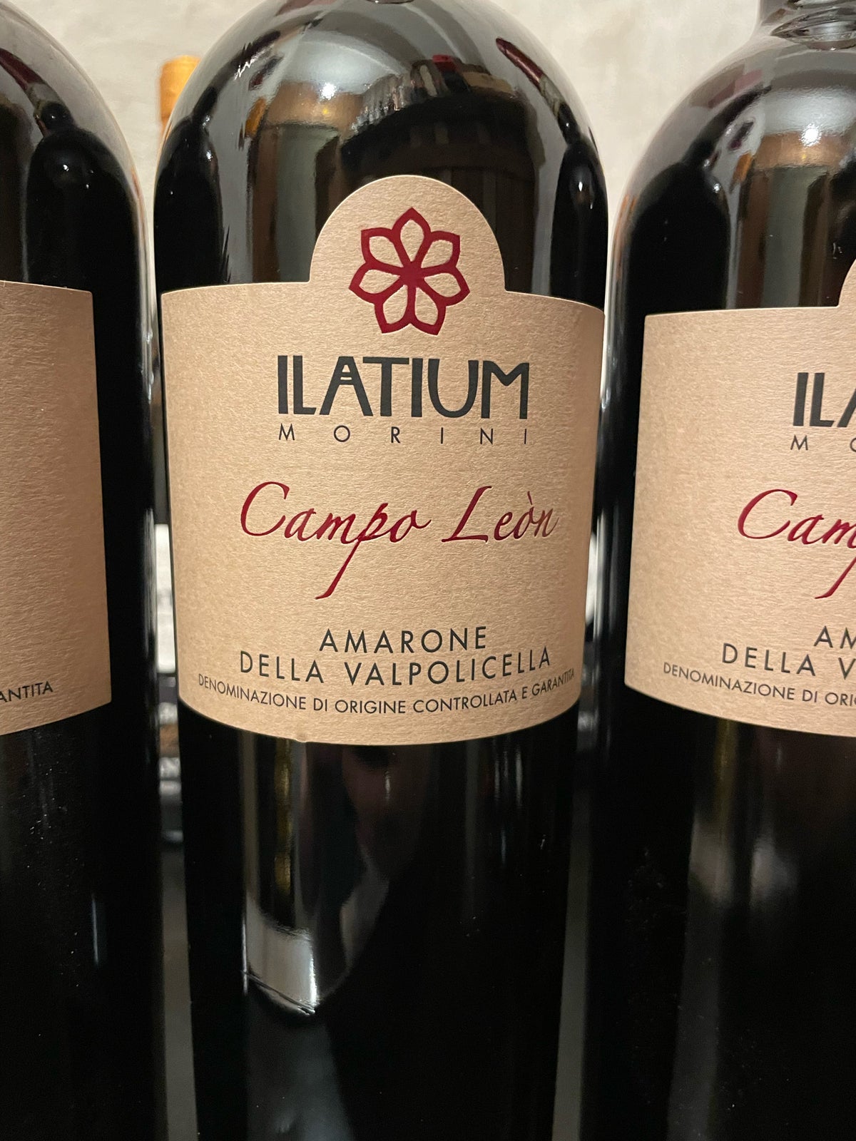 Vin og spiritus, Ilatium Morini Campo Leon Amarone årgang