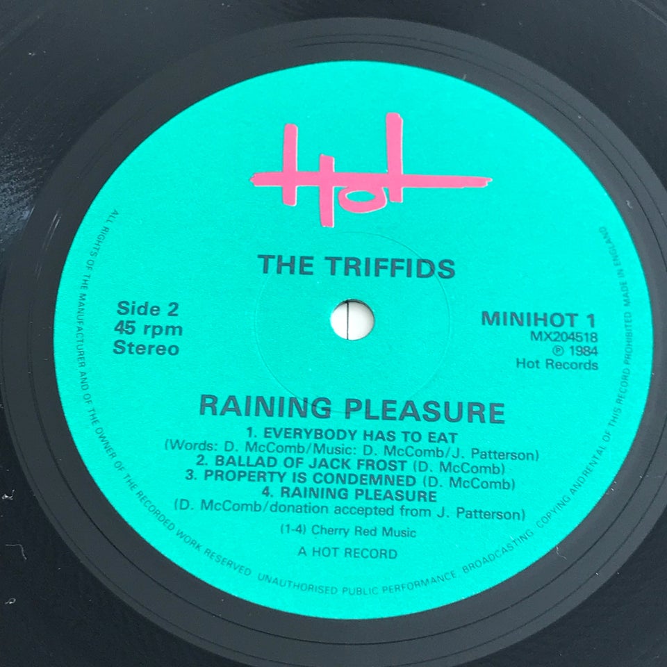 LP, The Triffids, Raining Pleasure