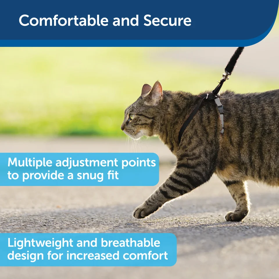 Kattesele, PetSafe Easy Walk Cat Harness Blå - str. M