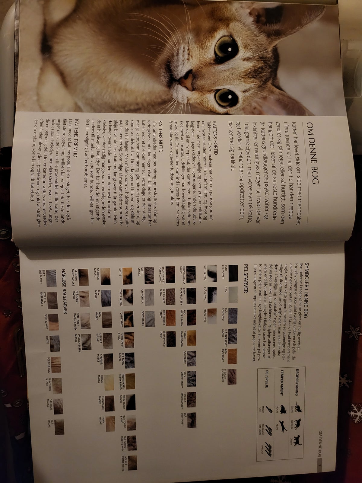 Andet, Katte bogen