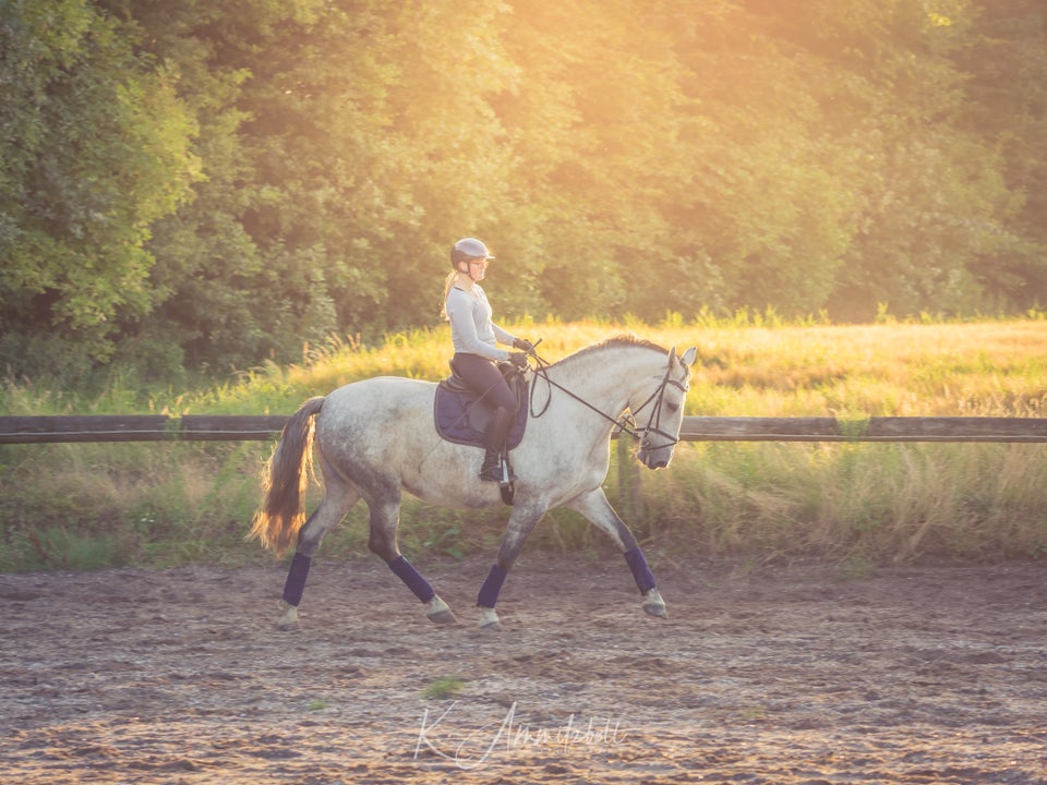 Blanding, hoppe, 7 år