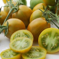 Tomat - emerald cherry - 10 frø