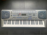 Keyboard, Casio CTK-591