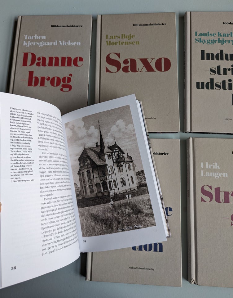 100 Danmarkshistorier, Aarhus Universitetsforlag, emne: