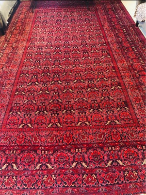 Gulvtæppe, ægte tæppe, b: 300 l: 400, Dejligt ægte afghansk gulvtæppe sælges nu billigt, da vi skal 