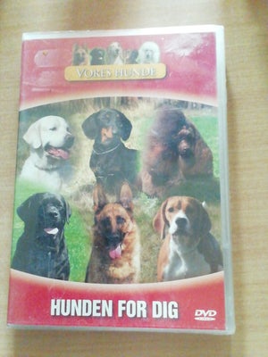 Hunde i DVD-film og - andet - Køb brugt på DBA