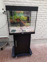 Akvarium, 120 liter