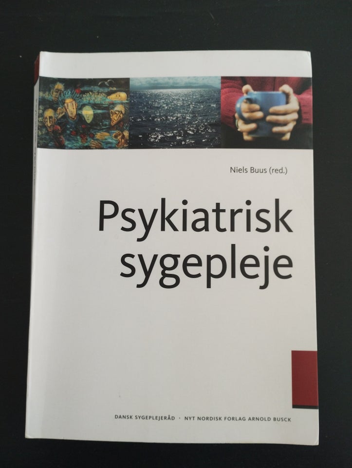 Psykiatrisk sygepleje, Niels buus, emne: anden kategori