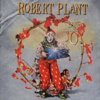 Robert Plant: Band Of Joy, rock