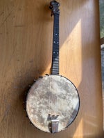 4 strenget banjo