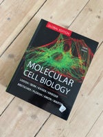 Molecular cell Biology, Lodish