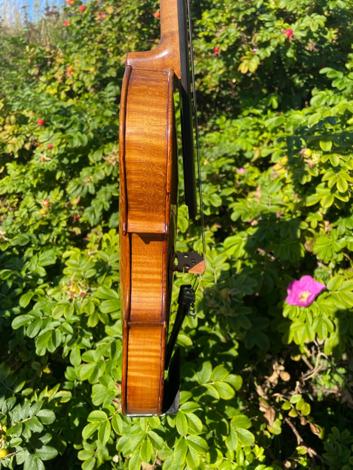 Gammel violin , Antonius Stradivarius Cremonensis