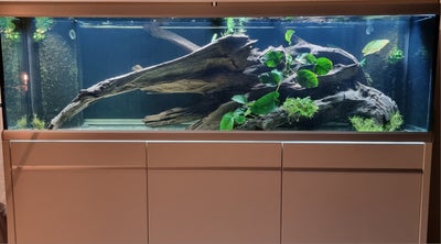 Akvarium, 720 liter, b: 200 d: 60 h: 60, Akvastabil move Hvid
- 720L (200x60x60cm)
- Nyt Led med sun