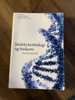 Molekylærbiologi og biokemi - teori og metoder, Bodil