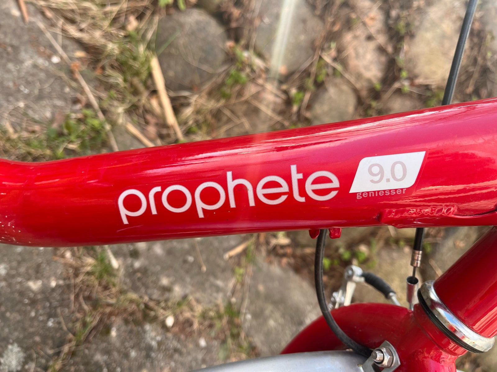 Foldecykel, Prophete Prophete 9.0, 1 gear
