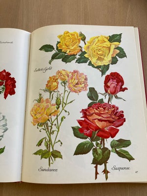 Den store rosenbog, Kiær & Hancke, emne: hus og have, “Den store rosenbog” . God og nyttig opslagsbo