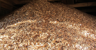 Flis, 150 rm, FRISK Træflis af god dansk kvalitet, til fyrring.
Består af blandede træsorter bøg, as