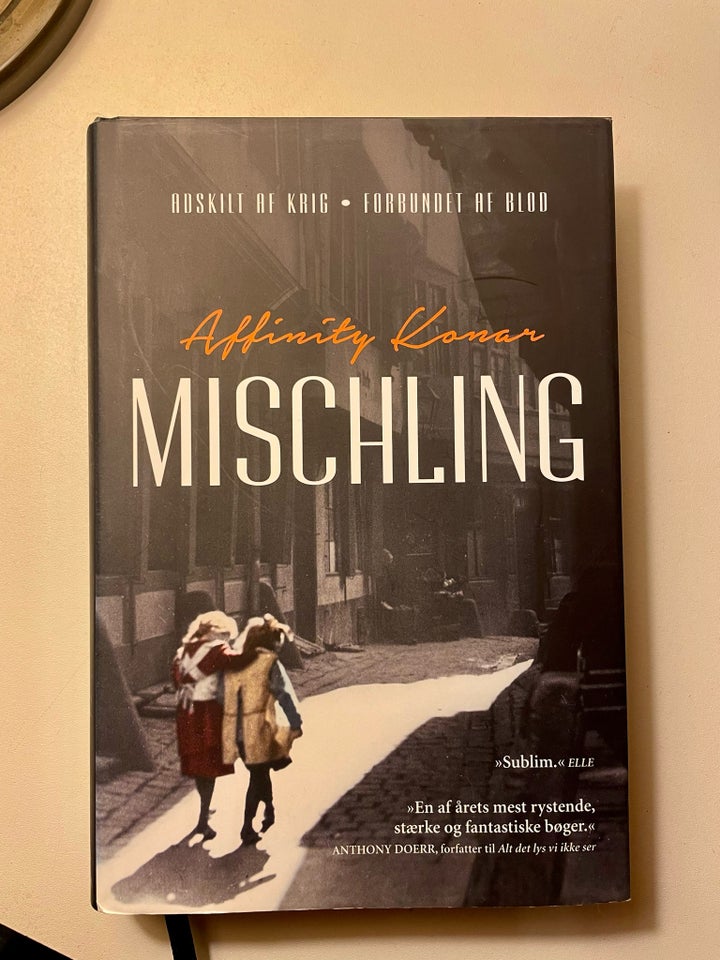 Mischling, Affinity Konar, genre: roman