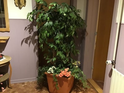 Stor Kunstig Plante Gulvplante Gulvpynt, Birkefigen Ficus Efeu Begonia, Ældre Indretning Stue Hall U
