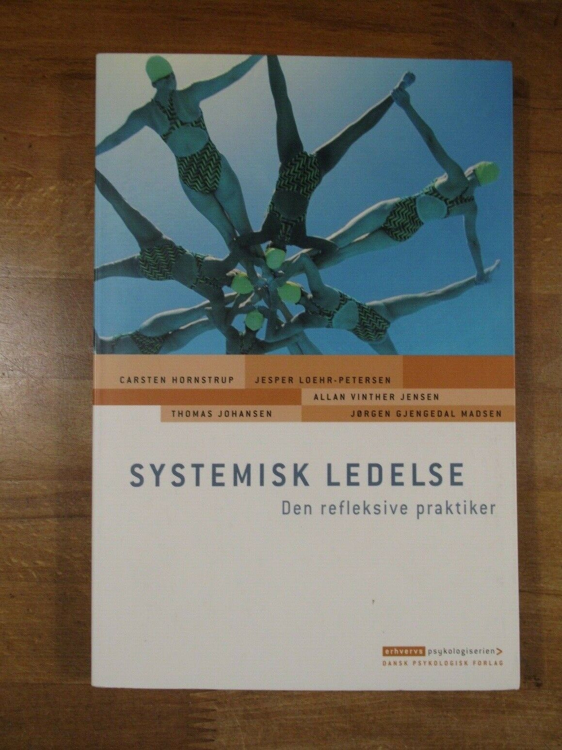 Systemisk ledelse (1. udgave, , Carsten Hornstrup – dba.dk – Salg af og