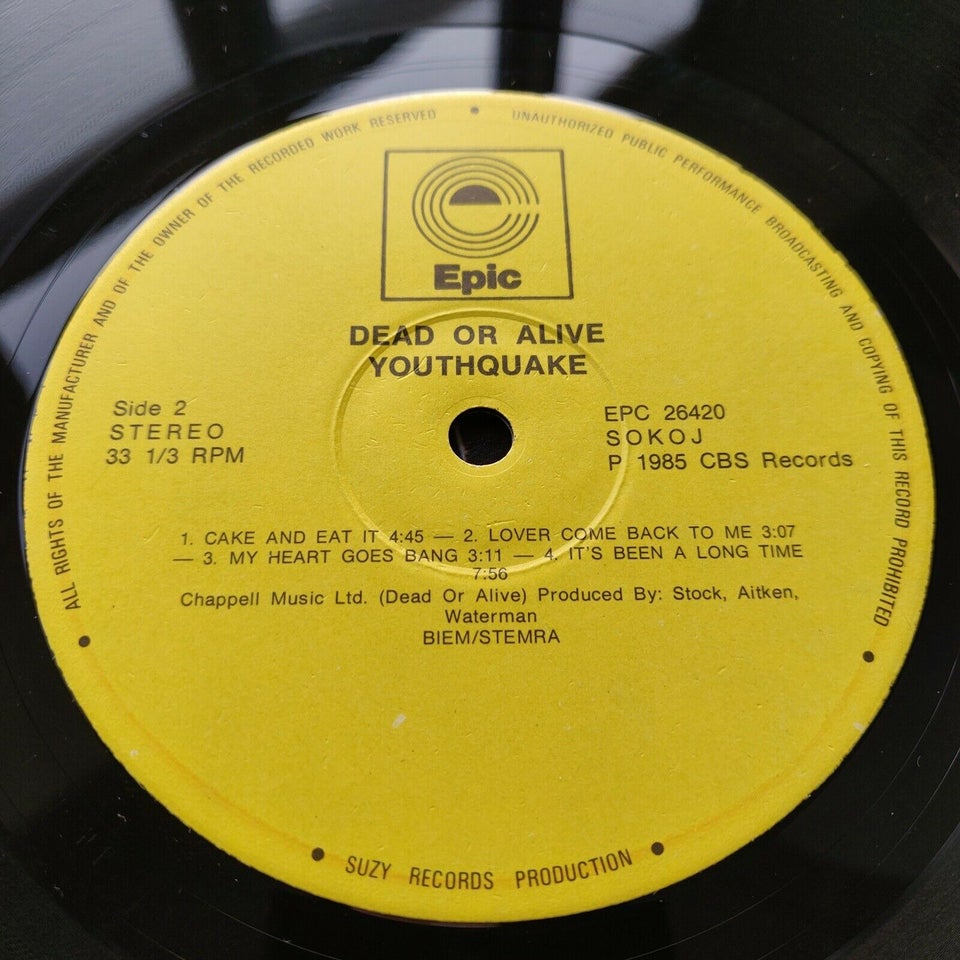 LP, Dead Or Alive, Youthquake