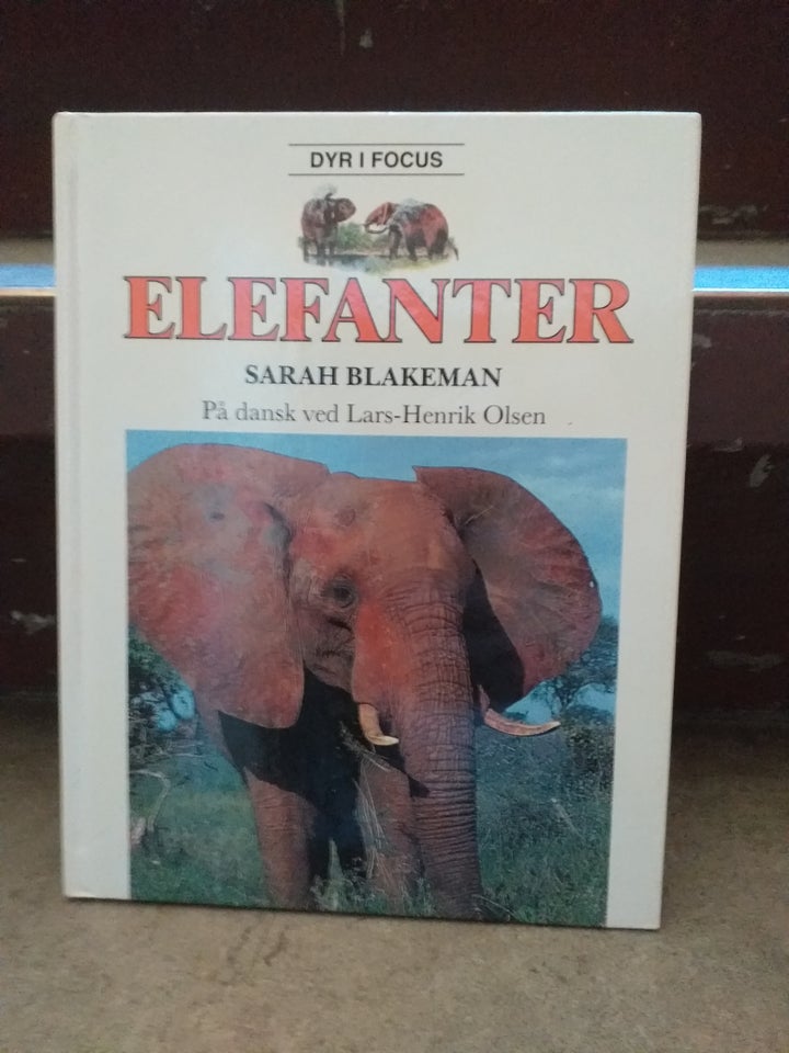 ELEFANTER, Sarah Blakeman