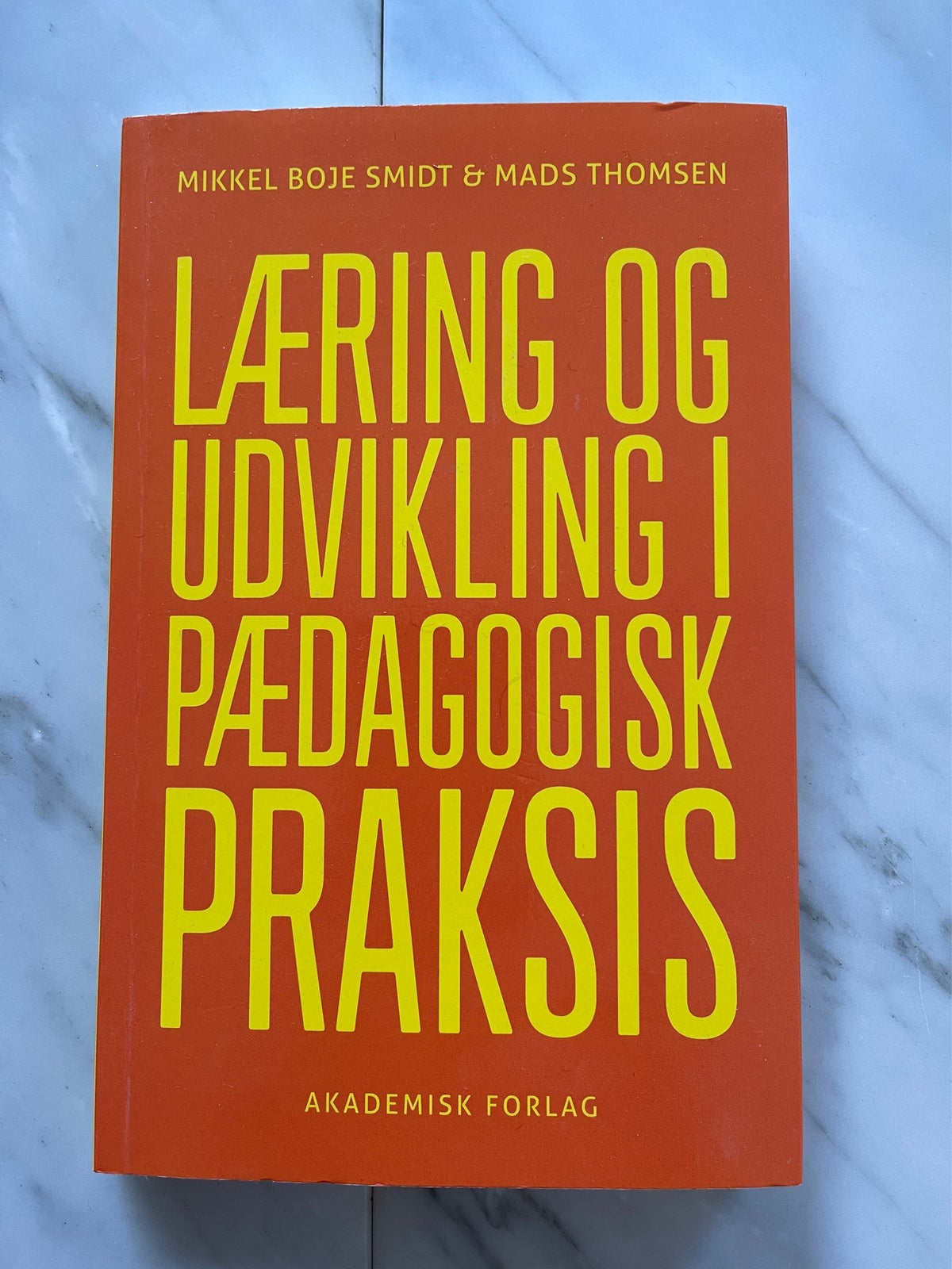 Læring og Udvikling i Pædagogisk Praksis, Mikkel Boe
