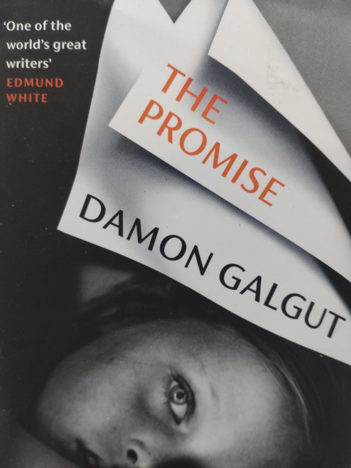 The Promise, Damon Galgut, genre: roman