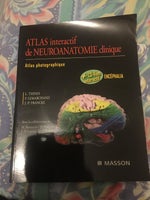 Atlas of Clinical Neuroanatomy: Photographic Atlas,