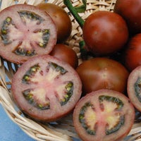 Tomat - black russian - 10 frø