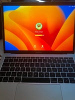 MacBook Pro, 2017, 8 GB ram