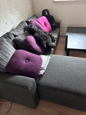 Sovesofa, Jysk, 1 år gammel sovesofa sælges. Fremstår som ny. 
Stort set ubrugt, da den kun har være