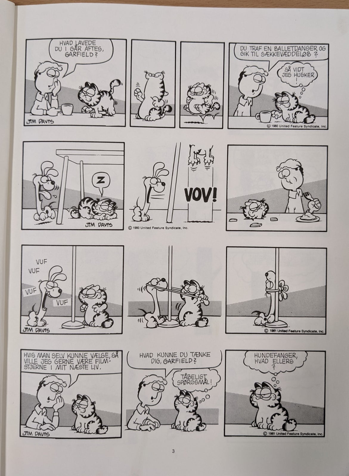 Garfield Elsker Alle 2, Jim Davis, Tegneserie