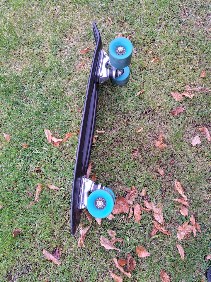 Skateboard, Pennyboard