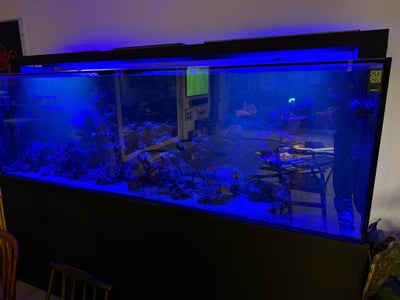 Akvarium, 966 liter, b: 230 d: 60 h: 70, Stort akvarie sælges. Der er brugt som saltvandsakvarium. D