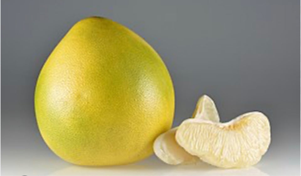 Pomelo træer, Pomelo - dba.dk - Køb og Salg af Nyt og Brugt