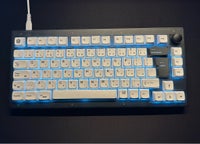 Tastatur, Keychron V1, Perfekt