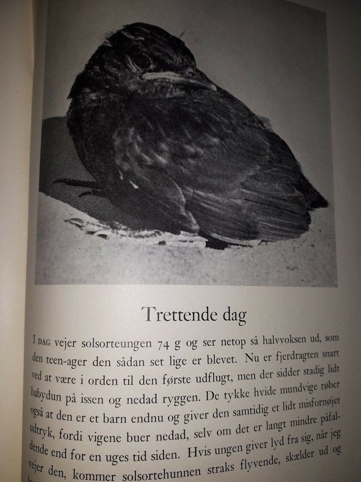 Solsorte-Dagbogen, Hans Hvass, emne: dyr