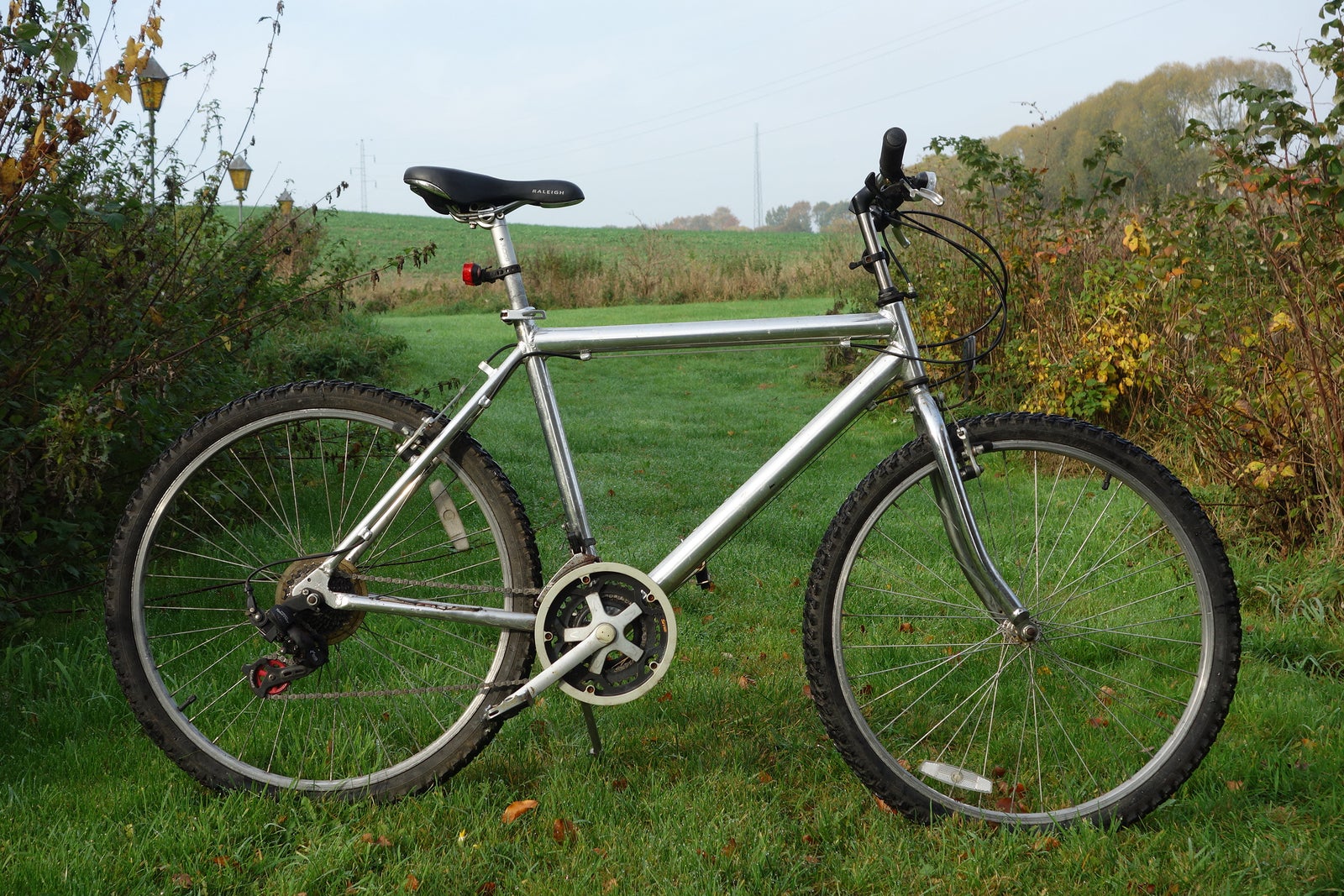 Raleigh Vintage, hardtail, 26 tommer