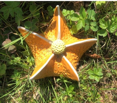 Keramik, Blomst, Spændende keramik blomst 
Sæt den i det grønne og den liver op og skal ikke vandes 