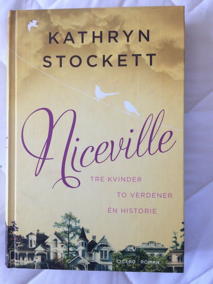 Niceville, Kathryn Stockett, genre: roman