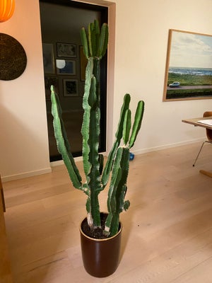 Kaktus, Stor flot gammel cowboy kaktus. Flot patineret og rustik. Sælges med potte. Ca 153 cm høj. H