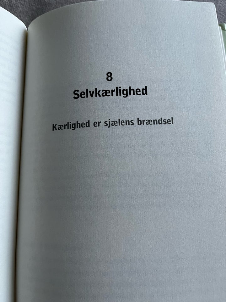 Et liv i glæde, Sanna Ehdin, anden bog