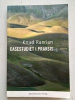 Casestudiet i praksis, Knud Ramian, år 2012