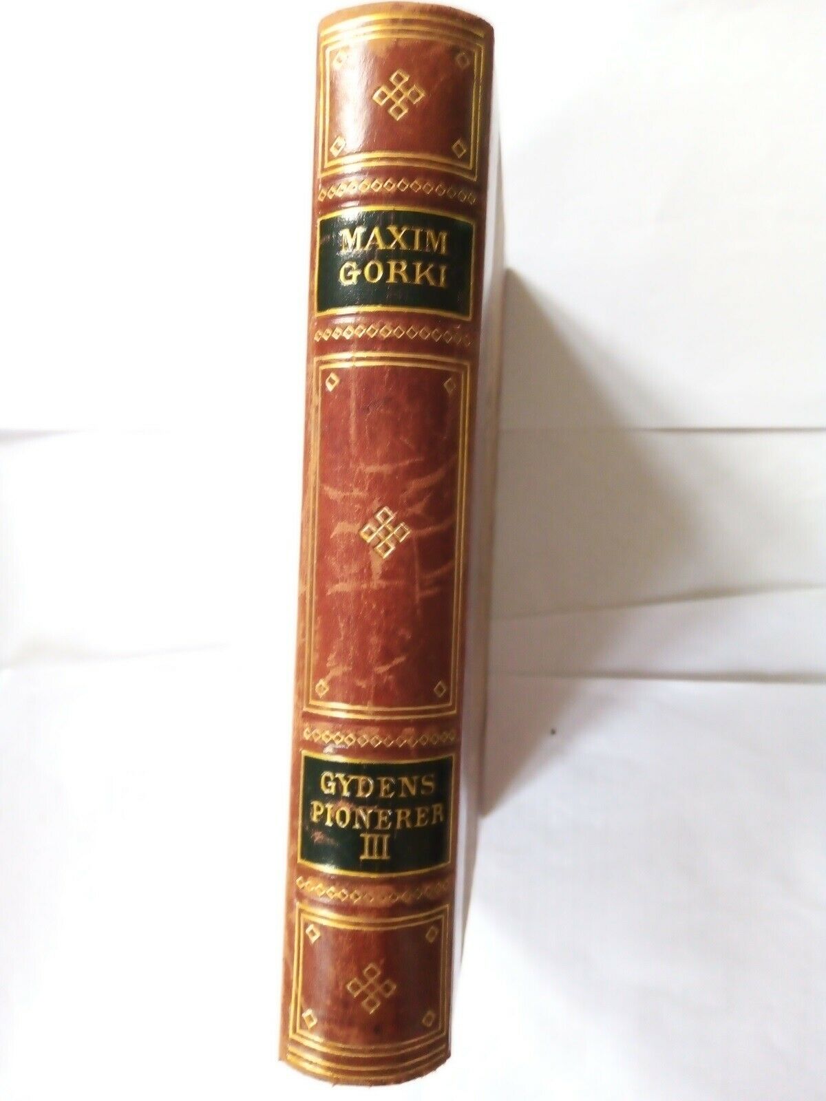 Gydens Pionerer (bind III), Maxim Gorki, genre: roman