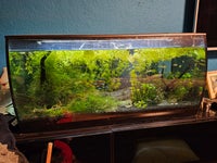 Akvarium, 123 liter