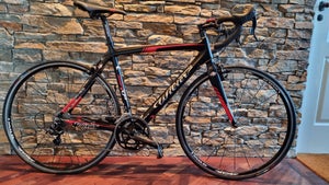 Wilier discount triestina pris