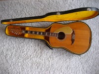 Western, Fender (US) Wildwood 2