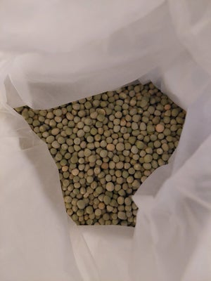 Økologisk Ærtefrø, 12 kg. 
50 kr. pr. kg.

Frøene er fra Seedcom i DK