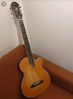 Elguitar, Epiphone SST Coupe Natural